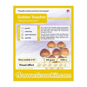 Golden Teacher Paddo Growkit
