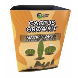 Macrogonus Cactus