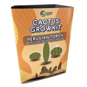 Peruvian Torch Cactus