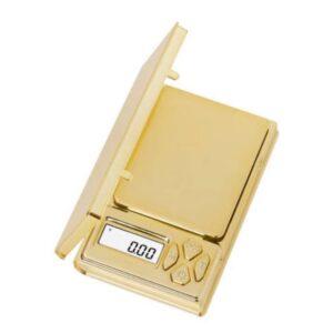 Gouden Weegschaal 100g x 0.01