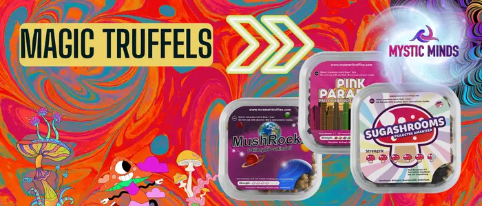 Magic Truffels Kopen