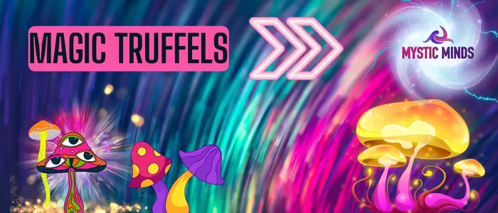 Magic Truffels Mystic Minds