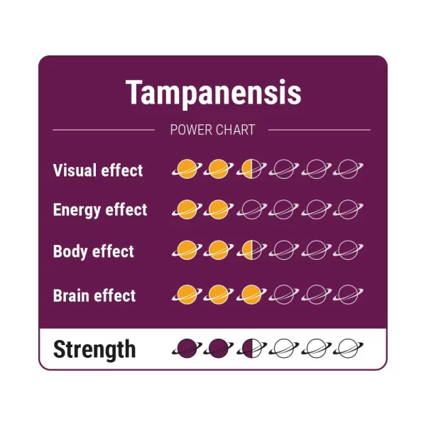 Tampanensis Power Chart