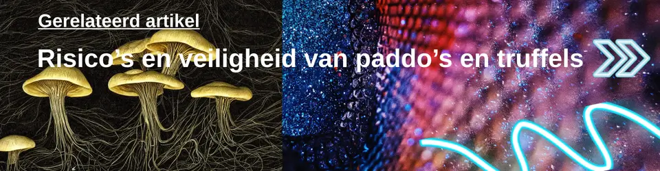 Risico’s en veiligheid van paddo’s en truffels