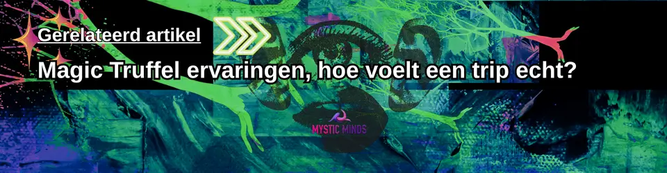 Microdoseren Schema – Truffels & Capsules