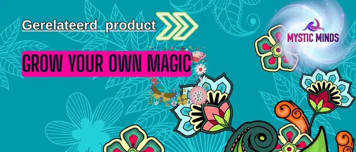 Hoe start je jouw eerste ervaring?