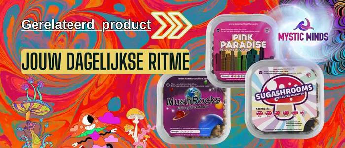 Magic truffel ervaringen