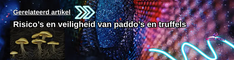 Risico’s en veiligheid van paddo’s en truffels