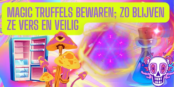 Magic Truffels bewaren; zo blijven ze vers en veilig
