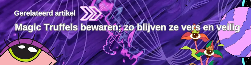 Magic Truffels bewaren; zo blijven ze vers en veilig