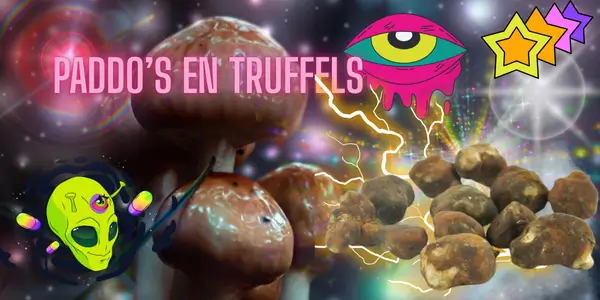 Soorten paddo’s en truffels uitgelegd – families en stammen