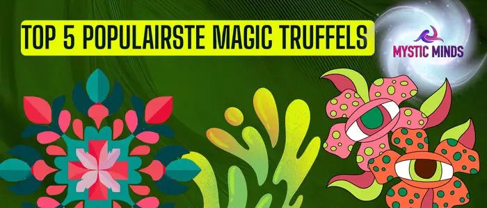 Top 5 populairste magic truffels