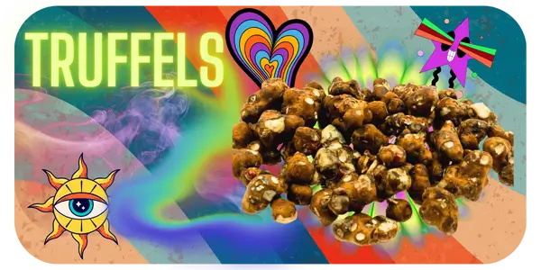 Soorten Magic Truffels