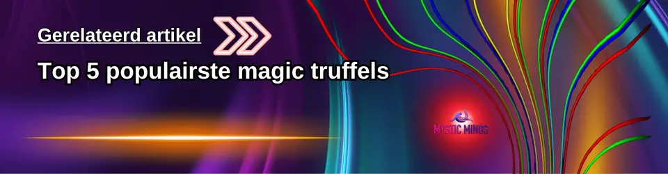 Top 5 Paddo Recepten