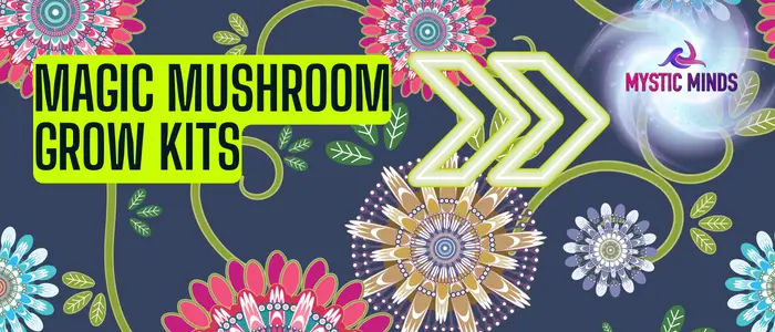 Magic Mushroom Grow Kits