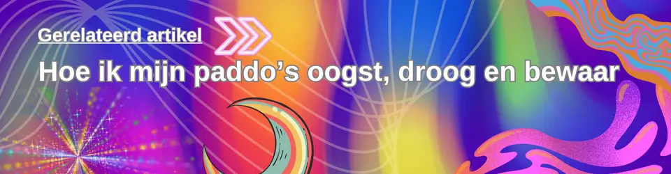 Hoe Ik Mijn Paddo’s Oogst, Droog En Bewaar