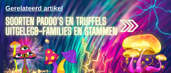 Soorten paddo's en truffels uItgelegd-famIlIes en stammen