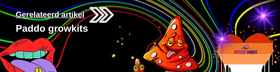 magic mushrooms kopen