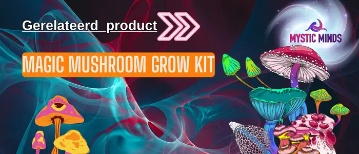 Paddo growkits; magic mushrooms kweken