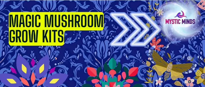 Magic Mushroom Grow Kits