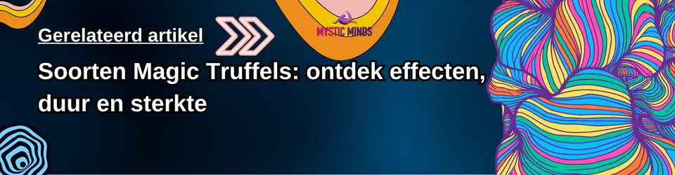 Soorten Magic Truffels: ontdek effecten, duur en sterkte