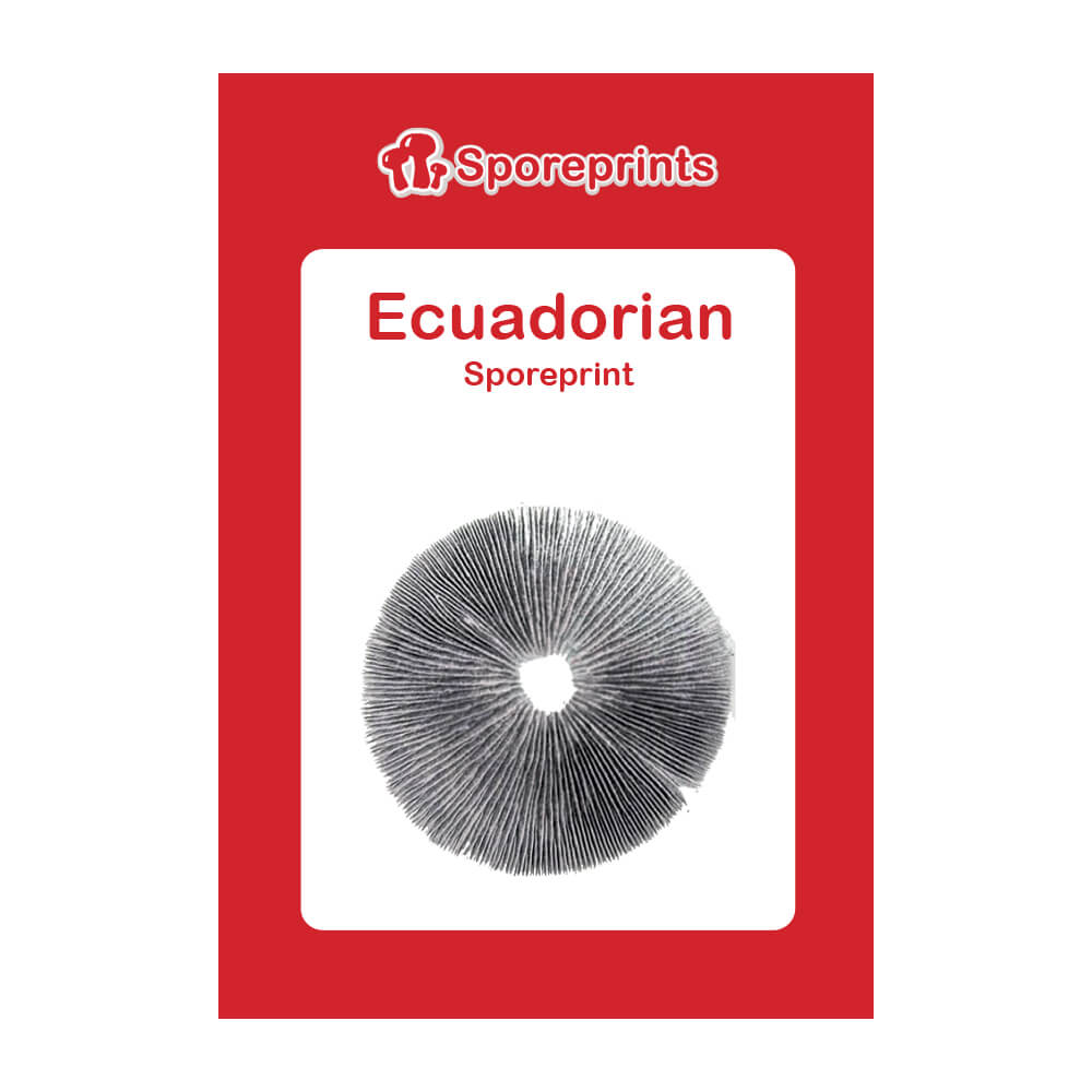 Ecuadorian Sporenprint - Afbeelding 2