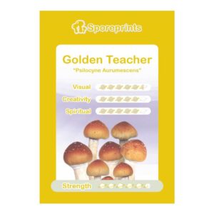 Golden Teacher sporeprint