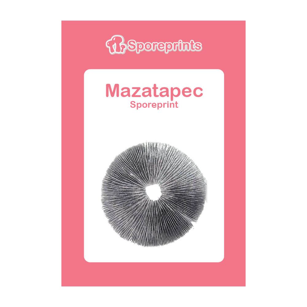 Mazatapec sporeprint van McSmart Spores
