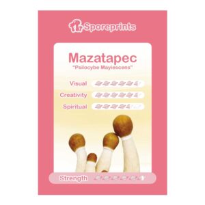 Mazatapec sporeprint van McSmart Spores